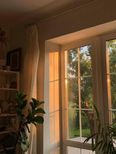 Bright warm sunlight across a simple interior wall